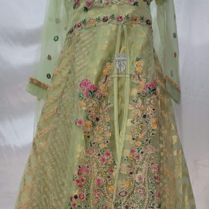 Parrot Green Fancy Dress