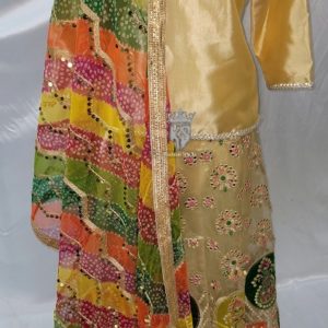 Beautiful Golden Organza Lehenga