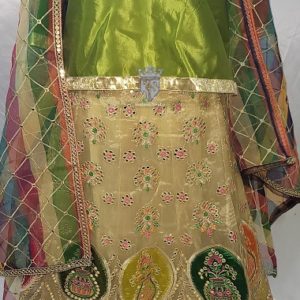 Beautiful Green Organza Lehenga