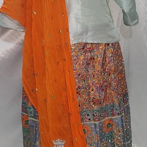 Beautiful Multi Colored Lehenga