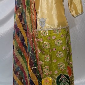 Beautiful Design Mehndi Color Lehnga